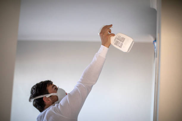 Best Mold Testing  in Greenville, KY