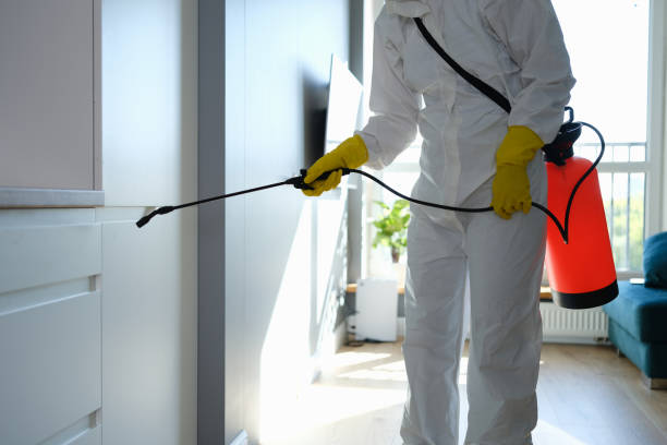 Best Local Mold Removal Service  in Greenville, KY