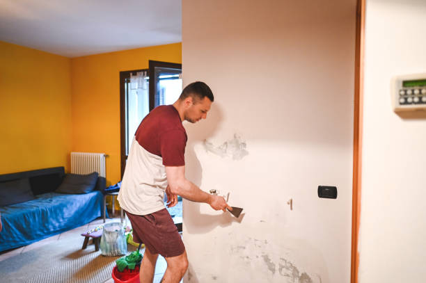 Mold Removal Process in Greenville, KY